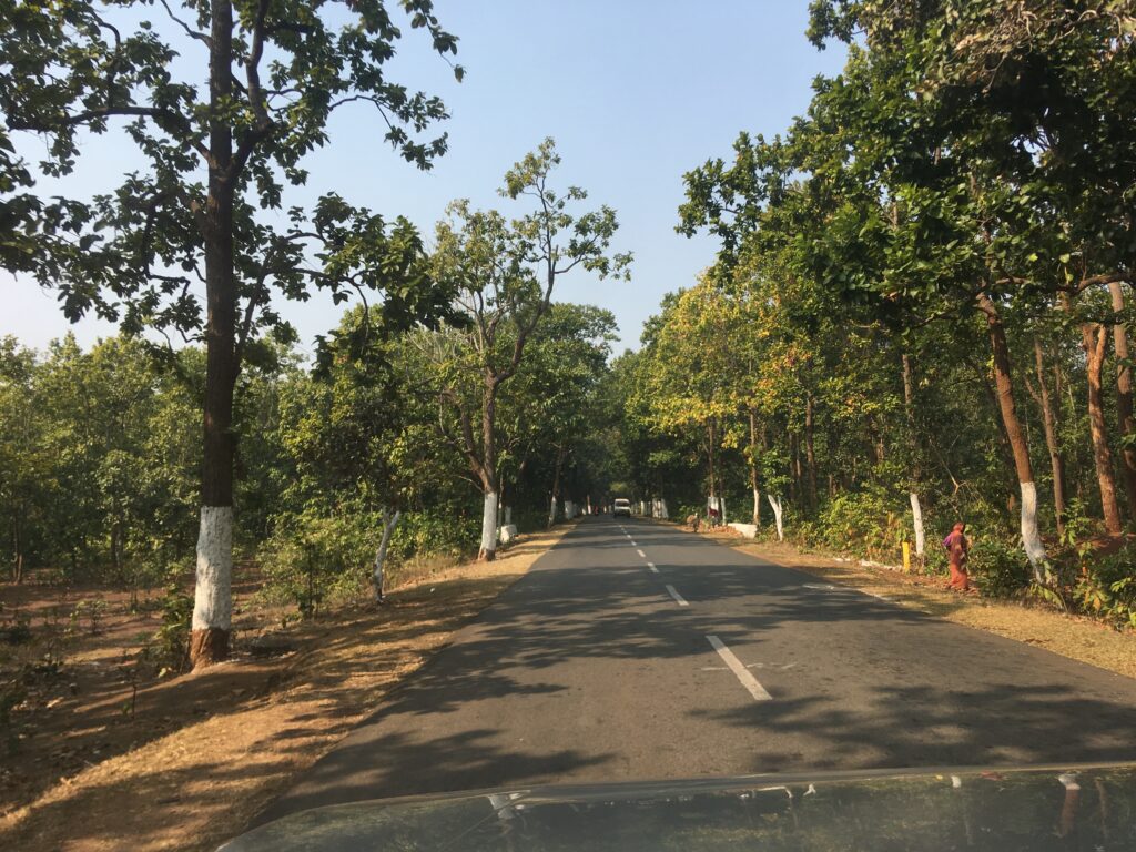 Bonforest 3rd post​
