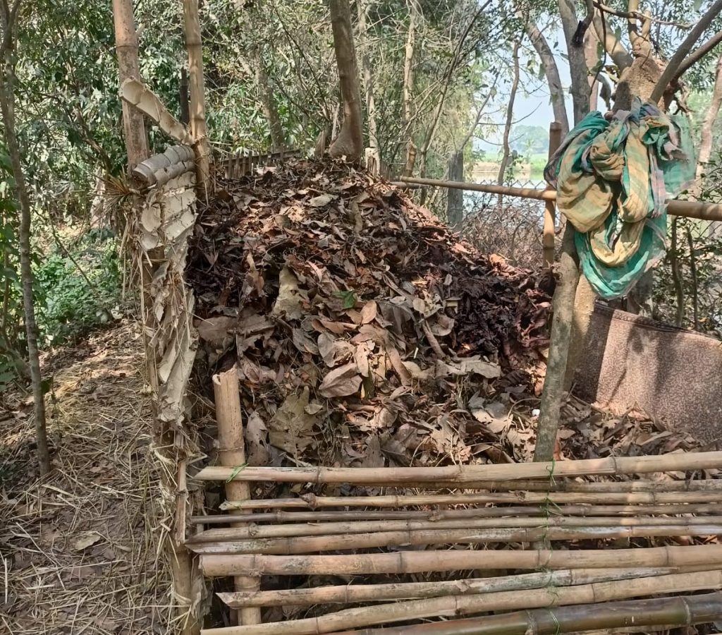 Huge stash of dried leaves are collected