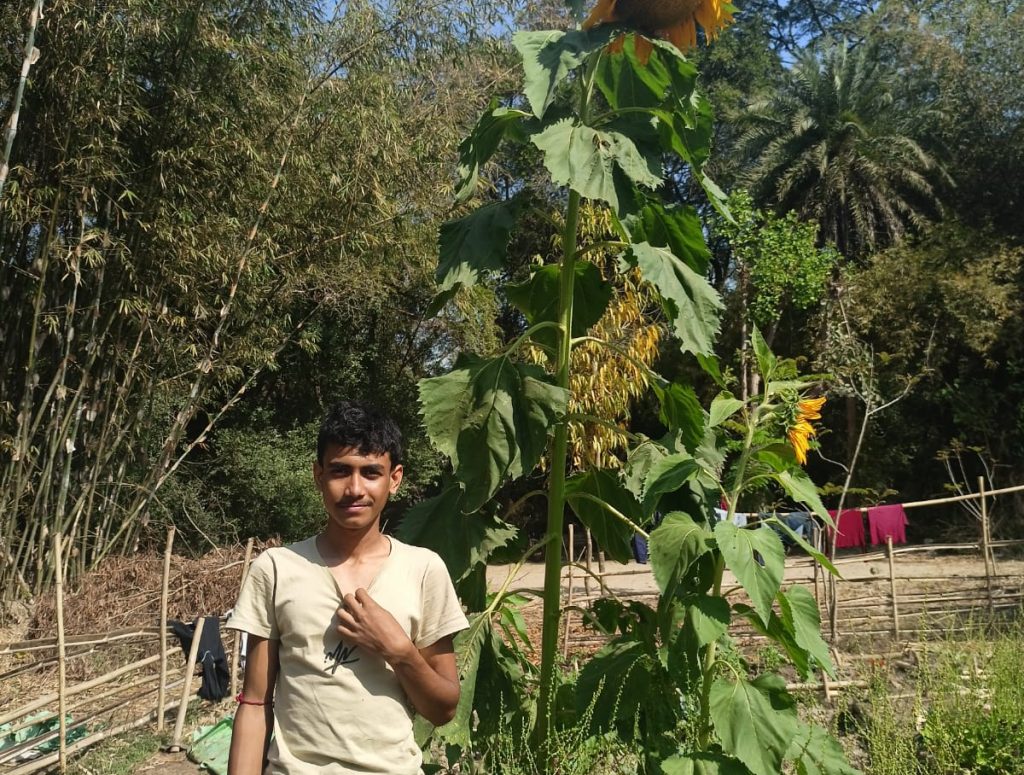 Sujit with sunflower